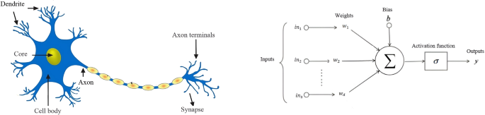 Cox proportional hazards model with Bayesian neural network for survival prediction
