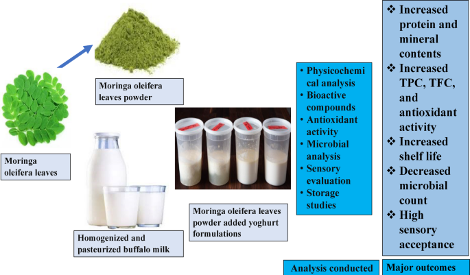 Development, physicochemical, and sensory analysis of moringa oleifera l. powder added buffalo milk yoghurt with pharmacological potential