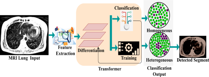 Multimodal feature distinguishing and deep learning approach to detect lung disease from MRI images
