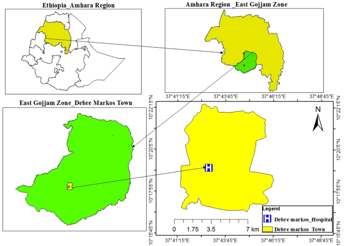 Prevalence of eye diseases, refractive errors and visual impairments in the Debre Markos referral hospital