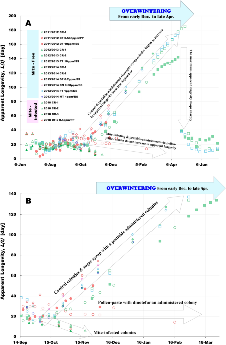 Neonicotinoids and Varroa mites force the extending of longevity in a bee colony during overwintering to forget