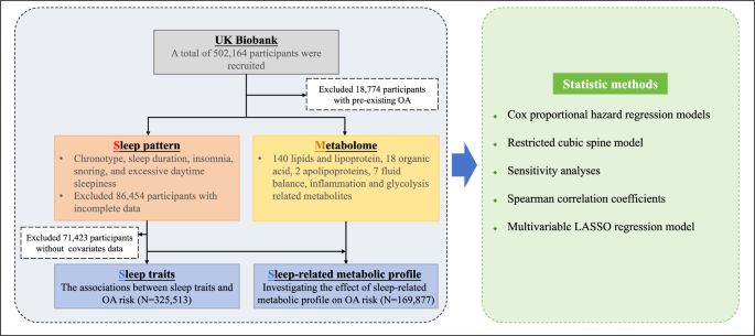 Sleep patterns, plasma metabolites, and risk of incident osteoarthritis: a prospective cohort study