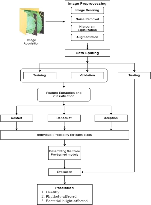 Ensemble-based sesame disease detection and classification using deep convolutional neural networks (CNN)