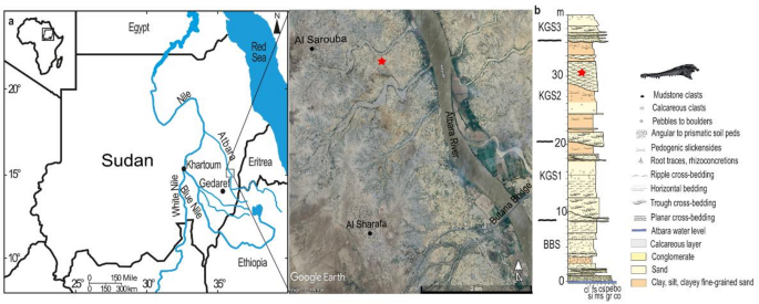A new late Pleistocene fossil crocodile from Sudan reveals hidden diversity of Crocodylus in Africa