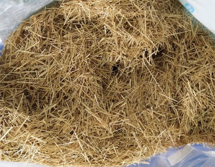 Applications of bamboo fiber and bamboo stem ash with styrene butadiene rubber in cement mortar for sustainable structural application