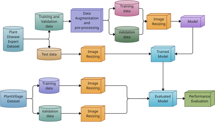 A lightweight and explainable CNN model for empowering plant disease diagnosis