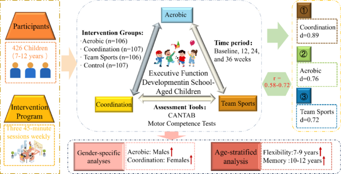 Long term effects of physical activity types on executive functions in school aged children