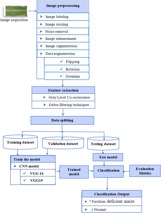 Predicting fertilizer treating of maize using digital image processing and deep learning approaches