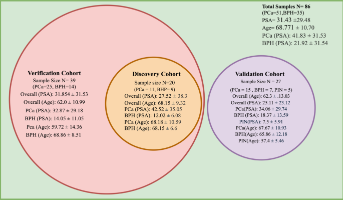 Integrating miRNA profiling and machine learning for improved prostate cancer diagnosis