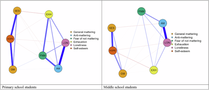 The associations between three mattering measures and exhaustion, loneliness, self-esteem, and hope across different educational levels: insights from primary, middle, high school, and university students