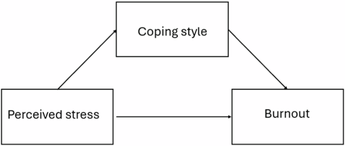 Stress and burnout among social workers – a relation mediated by coping styles
