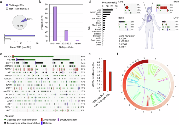 Genomic characterization of tumor mutational burden-high breast carcinomas