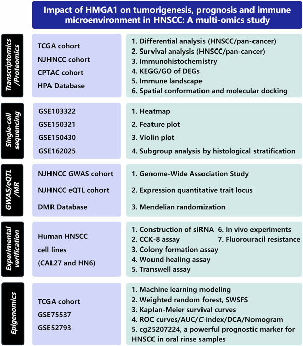 Impact of HMGA1 on tumorigenesis, prognosis and immune microenvironment in HNSCC: a multi-omics study