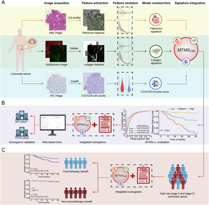 Multimodal tumor microenvironment signature of colorectal cancer for prediction prognosis and chemotherapy benefit