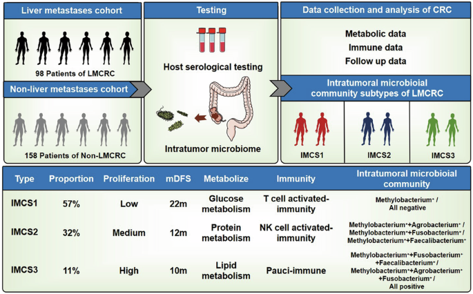Intratumoral microbial community profiling identifies clinicomolecular and prognostic subtypes of colorectal cancer liver metastasis