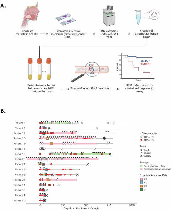 Personalized circulating tumor DNA dynamics inform survival and response to immune checkpoint blockade in recurrent/metastatic head and neck cancer