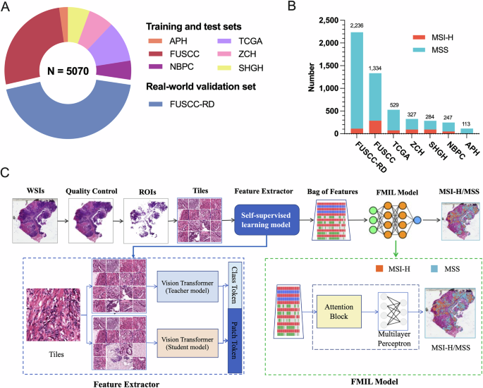 Deepath-MSI: a clinic-ready deep learning model for microsatellite instability detection in colorectal cancer using whole-slide imaging