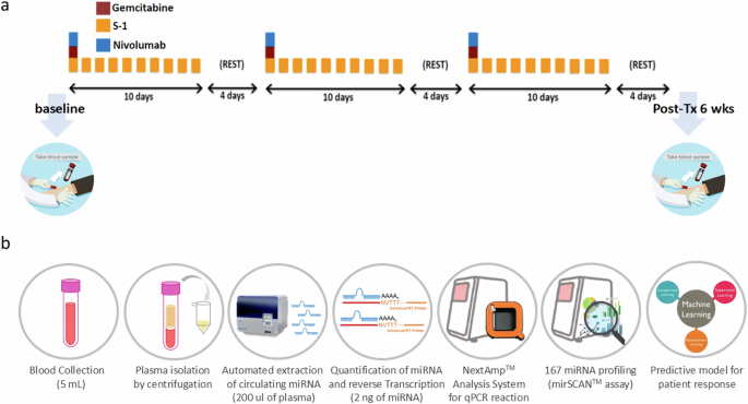 Circulating miRNAs as potentially predictive biomarkers for chemoimmunotherapy in advanced biliary tract cancer: a post-hoc analysis of the phase II T1219 study
