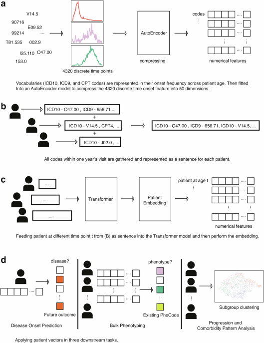 Transformer patient embedding using electronic health records enables patient stratification and progression analysis