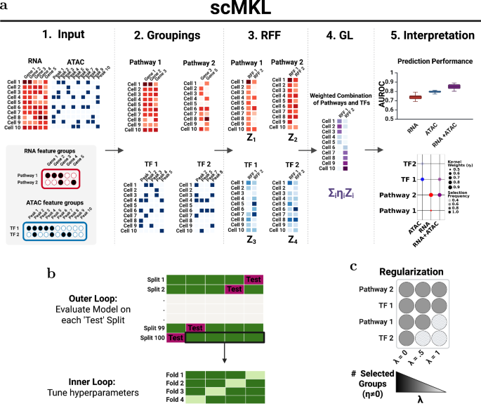 Interpretable and integrative analysis of single-cell multiomics with scMKL
