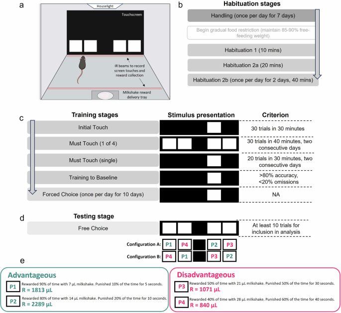 Executive dysfunction is associated with altered hippocampal-prefrontal functional connectivity in 3xTg Alzheimer’s model mice