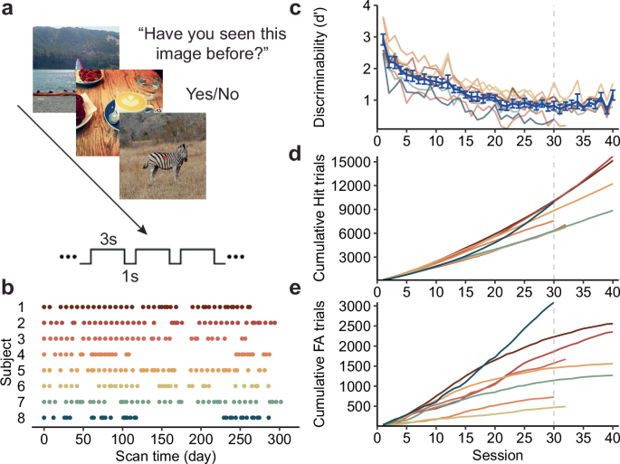 Temporal asymmetry of neural pattern similarity predicts recognition memory decisions