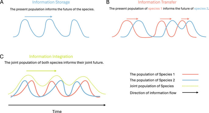 Information dynamics and the emergence of high-order individuality in ecosystems