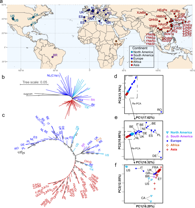 Population genomics reveal multiple independent origins of pesticide resistance in the polyphagous pest, Tetranychus urticae