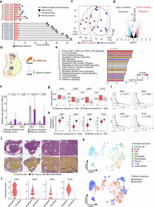 Overcoming platinum-resistant ovarian cancer targeting the activated JAK-STAT pathways via extracellular vesicles