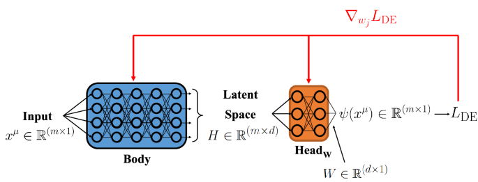Efficient PINNs via multi-head unimodular regularization of the solutions space