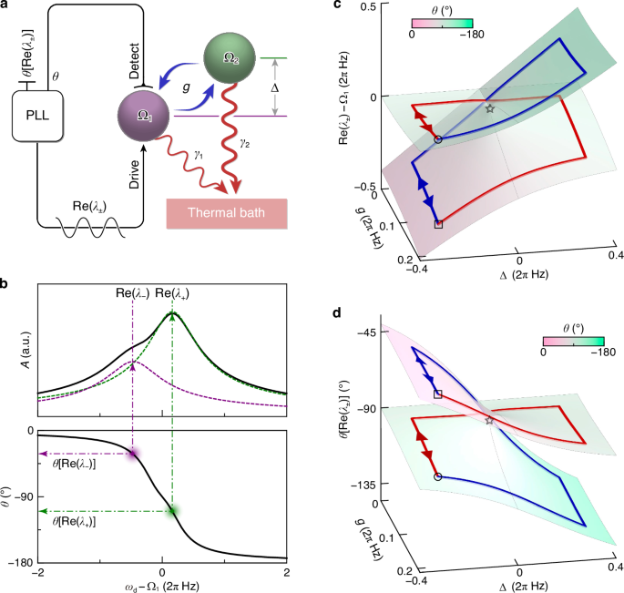 Dynamically encircling an exceptional point through phase-tracked closed-loop control