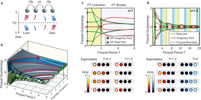 Skin-effect localization and maximal-order exceptional points in reciprocal Floquet lattices