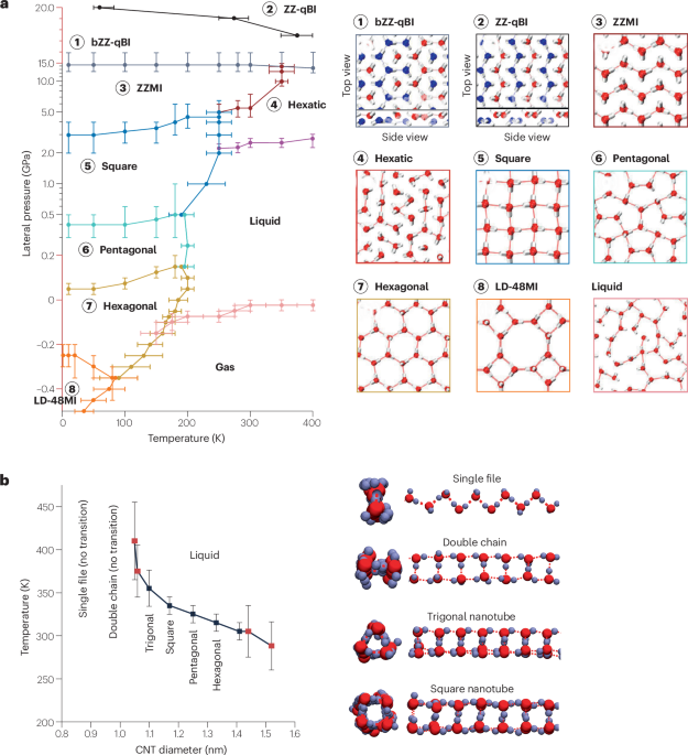 Structure and flow of low-dimensional water