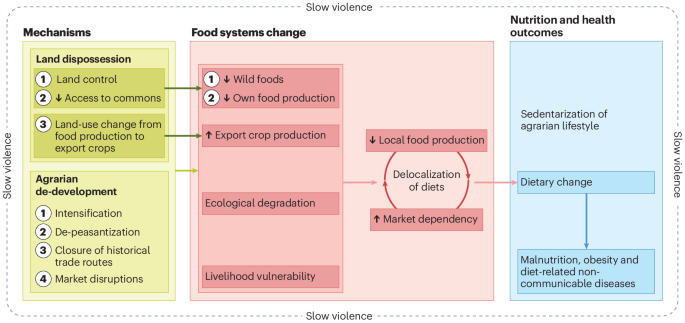 Settler colonialism de-develops food systems in protracted crises