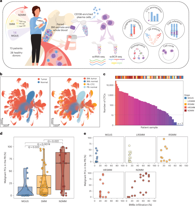 SWIFT-seq enables comprehensive single-cell transcriptomic profiling of circulating tumor cells in multiple myeloma and its precursors