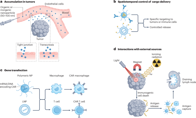 Nanotechnology for immuno-oncology | Nature Cancer