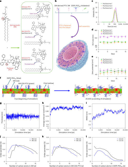 A sphingolipid-derived paclitaxel nanovesicle enhances efficacy of combination therapies in triple-negative breast cancer and pancreatic cancer