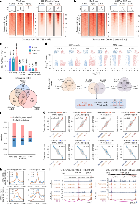 Characterization of cis-regulatory elements and functional variants in colorectal cancer using epigenomics and CRISPRi screenings