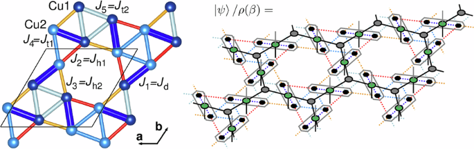 Tensor network analysis of the maple-leaf antiferromagnet spangolite