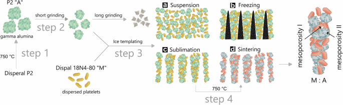Digital twin generation for adsorption in porous materials using Stochastic MorphoDeep