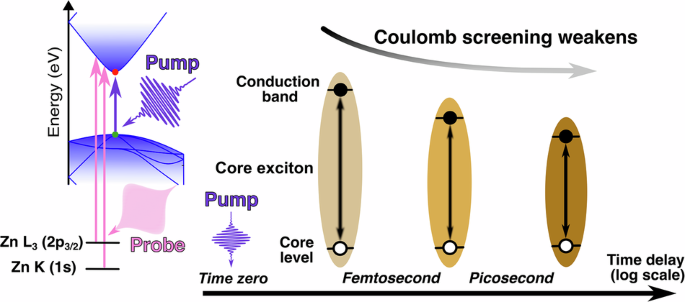 Dynamic control of X-ray core-exciton resonances by Coulomb screening in photoexcited semiconductors