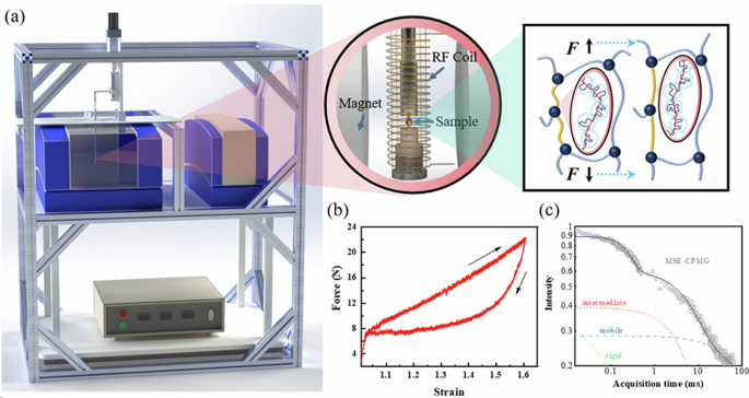 Molecular origin of stress softening in elastomer-based nanocomposites via in situ elongational nuclear magnetic resonance spectroscopy