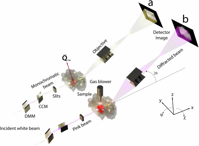 3D/4D imaging of complex and deformed microstructures with pink-beam dark field X-ray microscopy