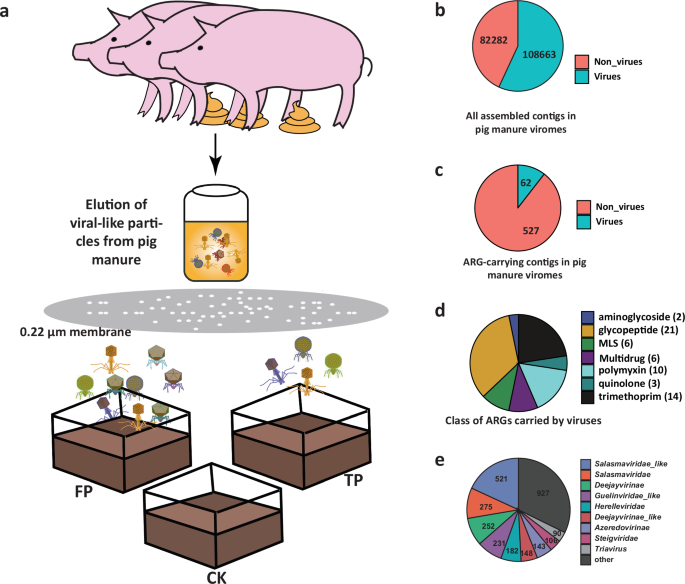 Nanosized microbiomes from pig manure alter soil microbial communities and increase antibiotic resistance gene abundance