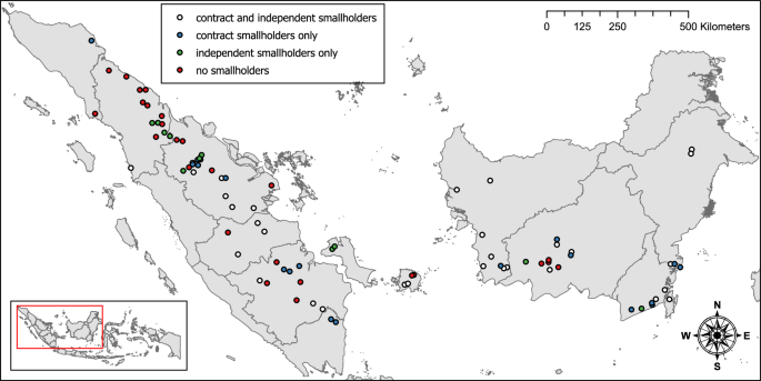 Uneven participation of independent and contract smallholders in certified palm oil mill markets in Indonesia
