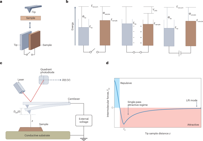 Kelvin probe force microscopy under ambient conditions