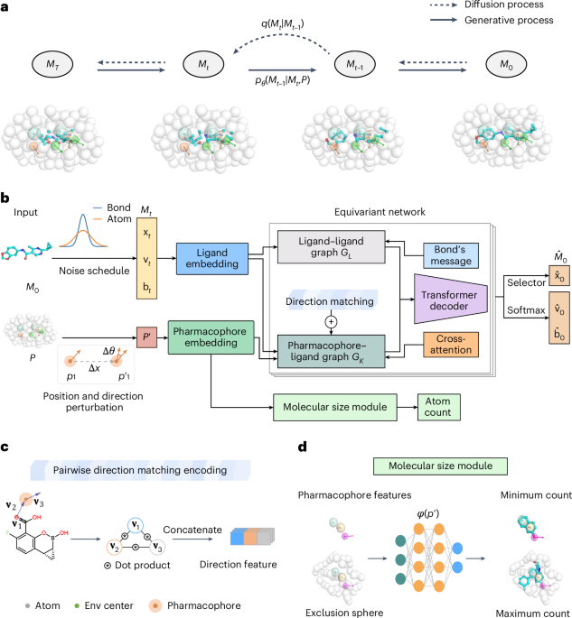 Pharmacophore-oriented 3D molecular generation toward efficient feature-customized drug discovery