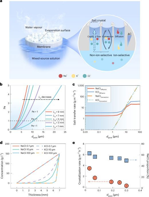 Diffusion-driven selective crystallization of high-purity salt through simple and sustainable one-step evaporation