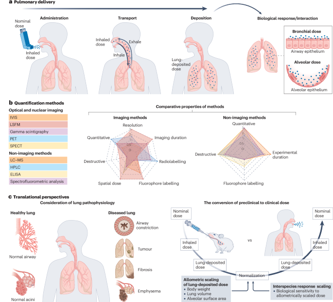 Precision dosimetry in pulmonary drug delivery