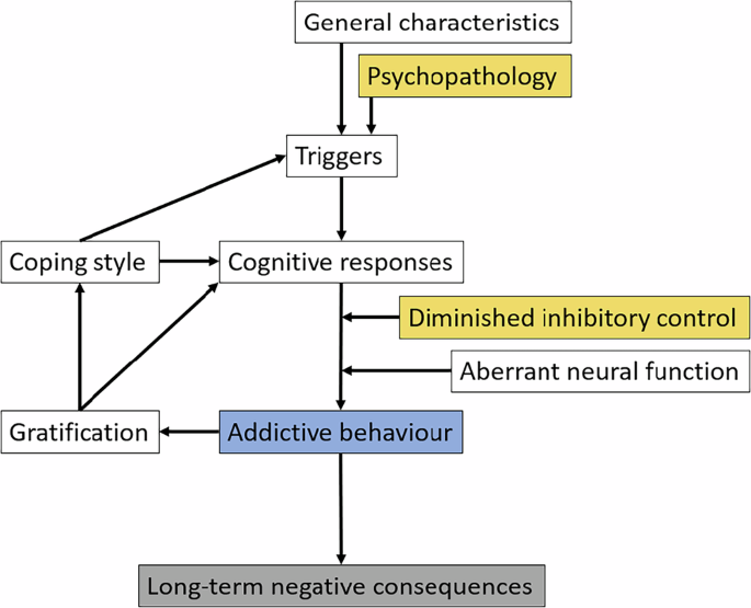 Problematic online gaming mediates the association between attention-deficit/hyperactivity and subsequent mental health issues in adolescents